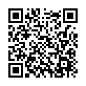 To view this 2014 Chevrolet Express Mahopac NY from GoGetCar.com, please scan this QR code with your smartphone or tablet to view the mobile version of this page.