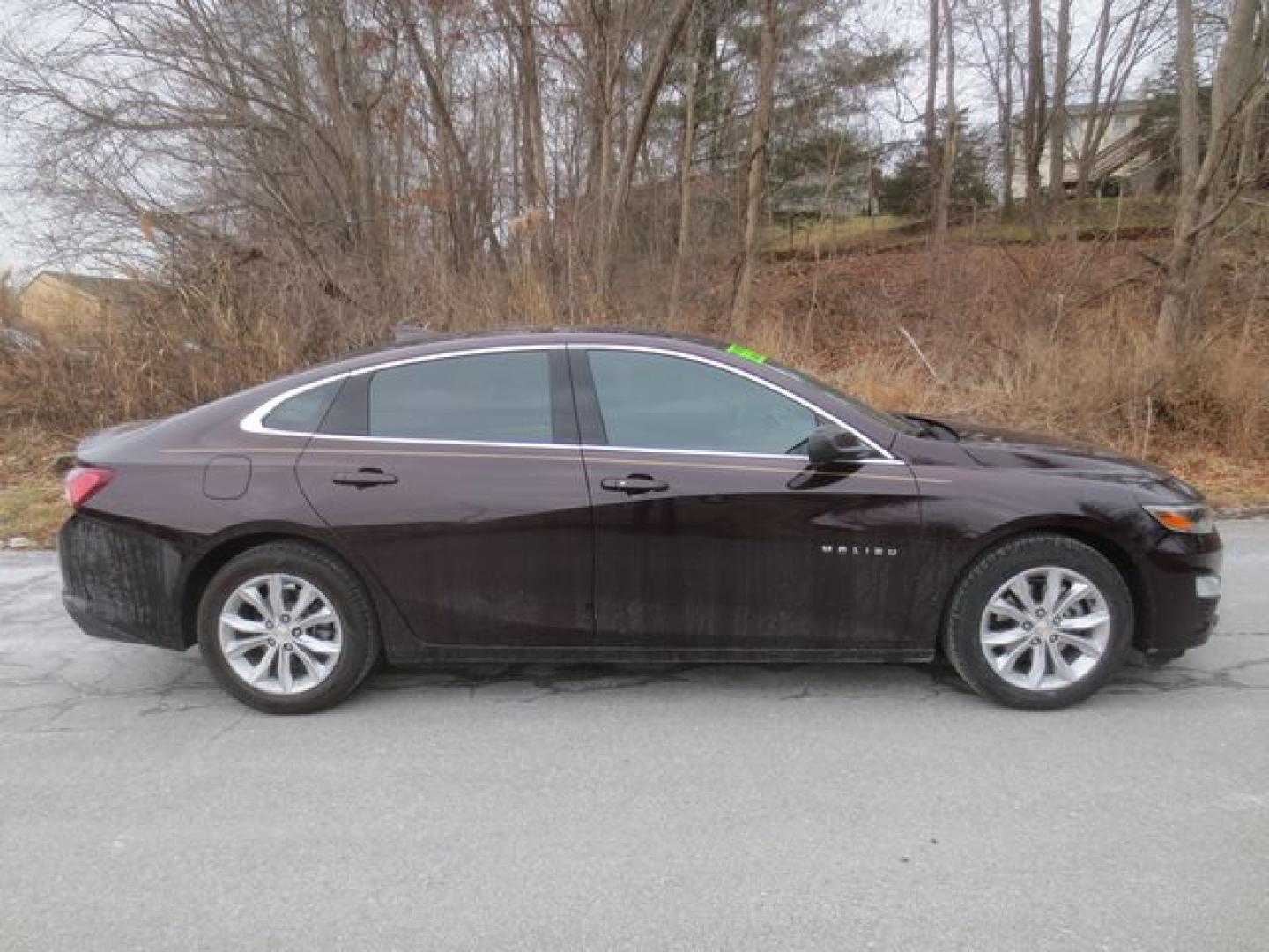 2020 Burgandy /Black Chevrolet Malibu LT (1G1ZD5ST0LF) with an 1.5L L4 DOHC 16V engine, 6A transmission, located at 270 US Route 6, Mahopac, NY, 10541, (845) 621-0895, 41.349022, -73.755280 - Photo#10